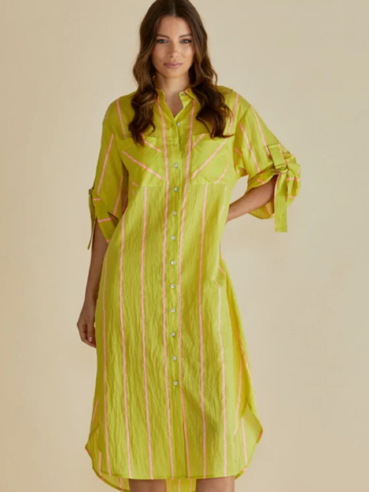 Betty Basics Hayman Shirt Dress